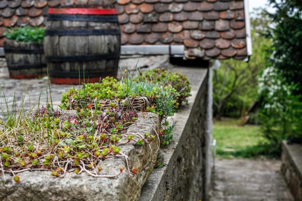 Myrtus Pince és Vendégház Tarcal Quarto foto