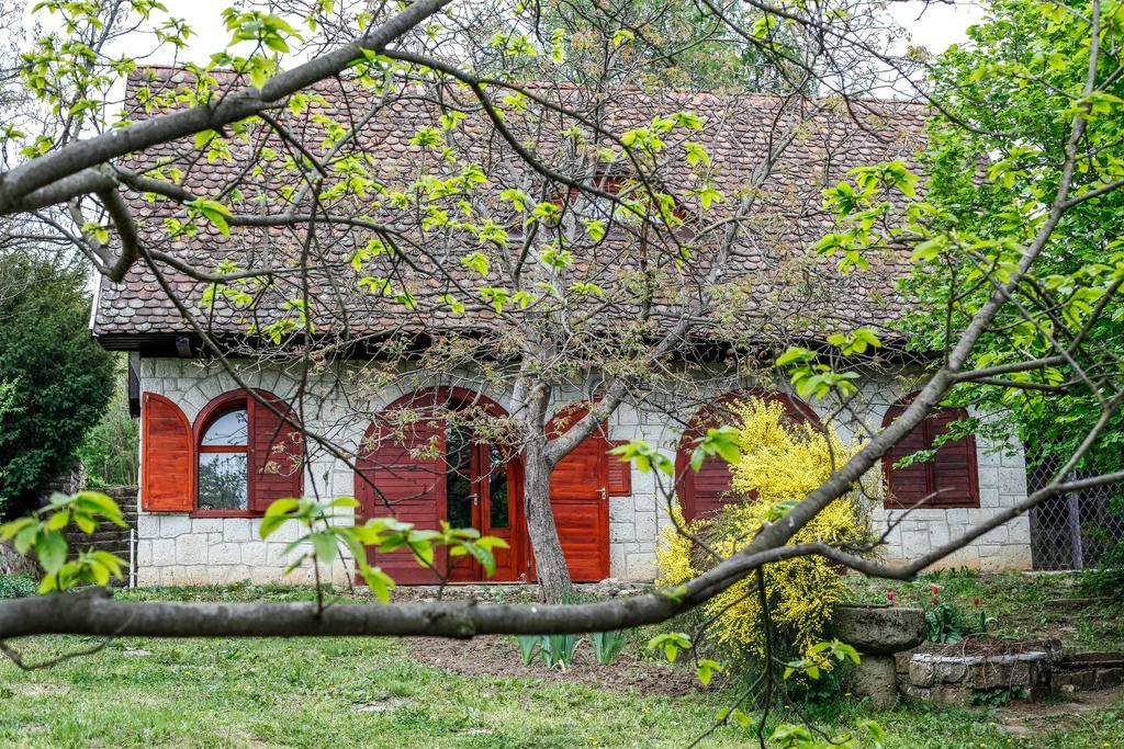 Myrtus Pince és Vendégház Tarcal Quarto foto