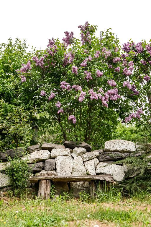 Myrtus Pince és Vendégház Tarcal Quarto foto